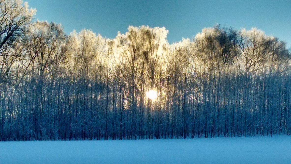 Chalupa Nad Popelkou Lomnice nad Popelkou Esterno foto