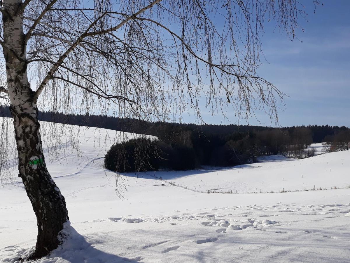 Chalupa Nad Popelkou Lomnice nad Popelkou Esterno foto